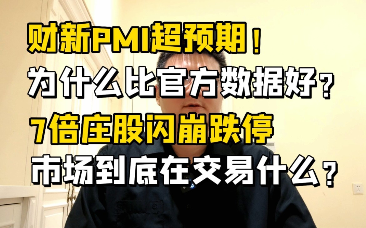 财新PMI超预期!为什么比官方数据好?7倍庄股闪崩,市场到底在交易什么?哔哩哔哩bilibili