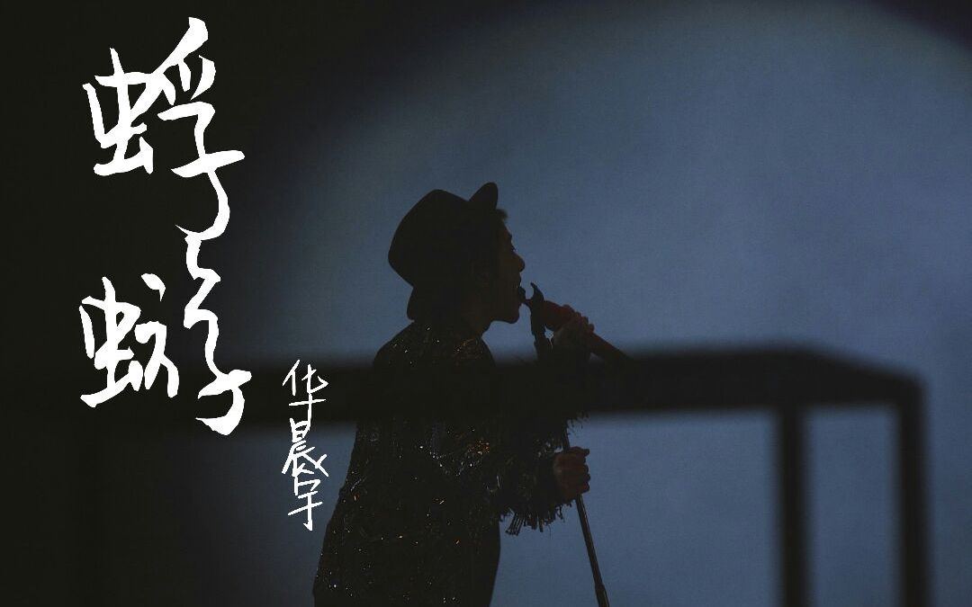 华晨宇蜉蝣混剪38部影视剧和蜉蝣这首歌会擦出怎样的火花呢