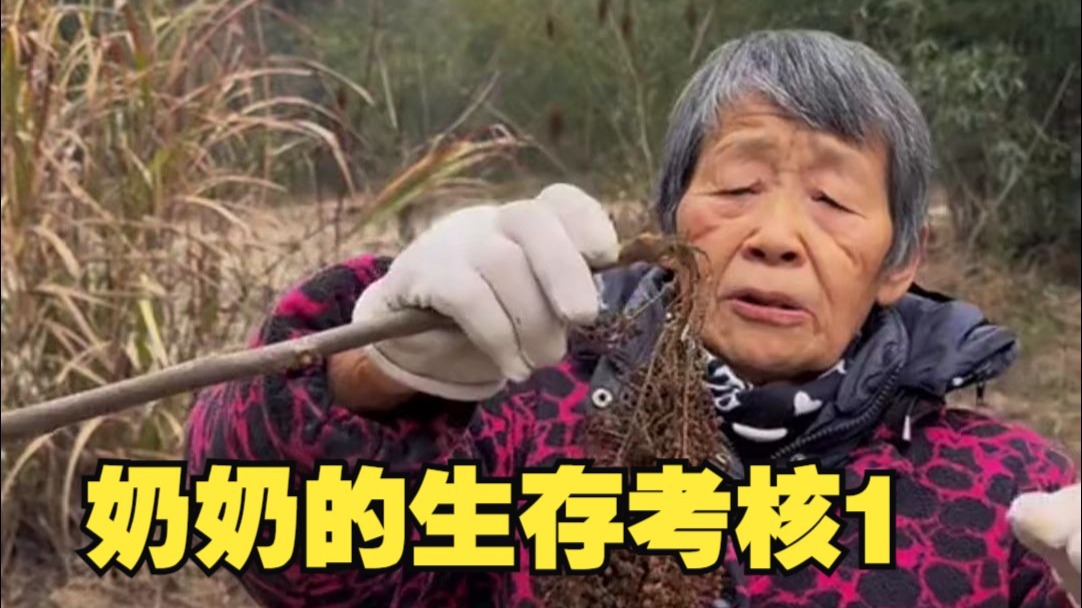 奶奶的生存考核1