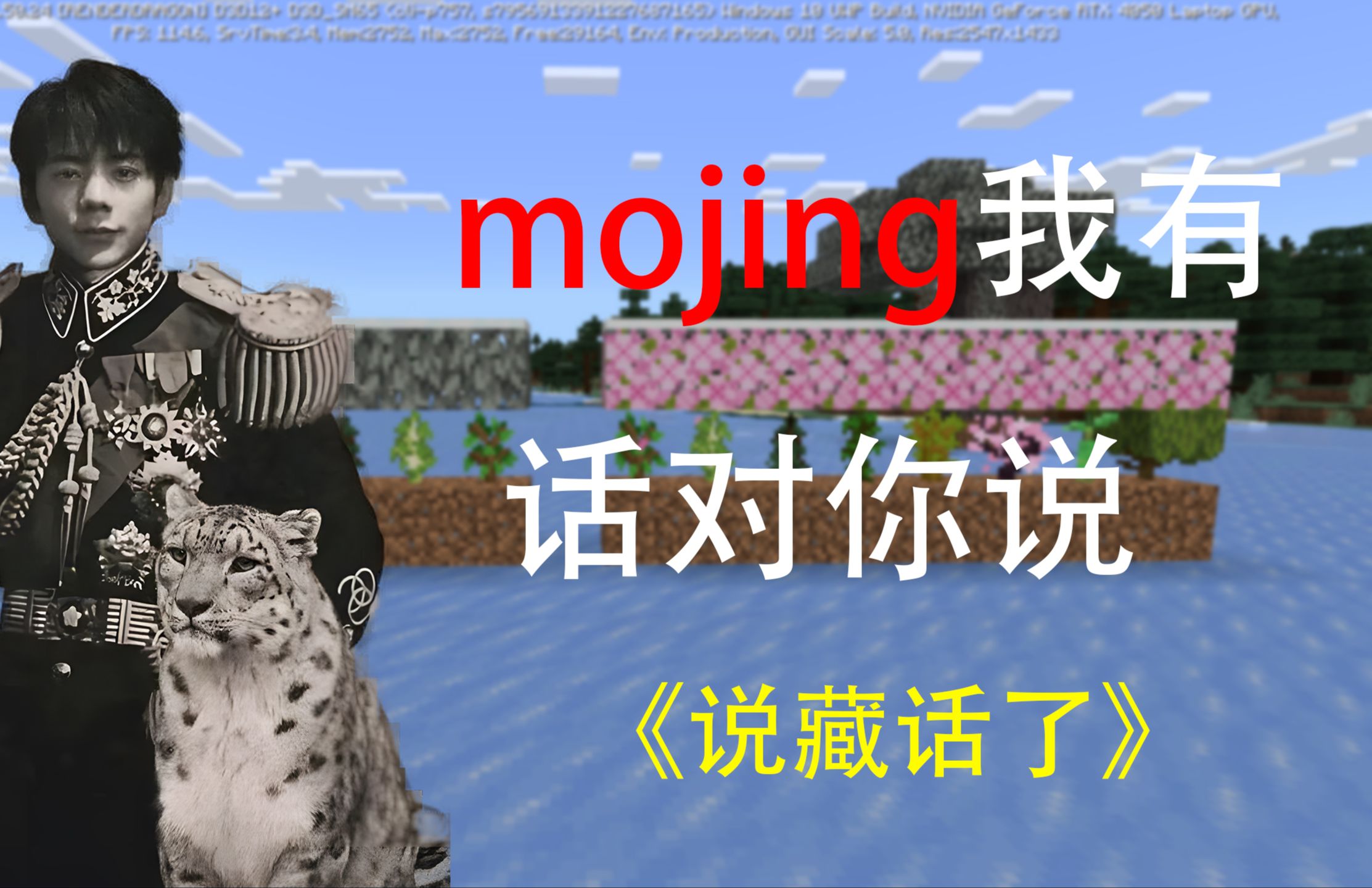 【丁真】mojing我有话对你说我的世界