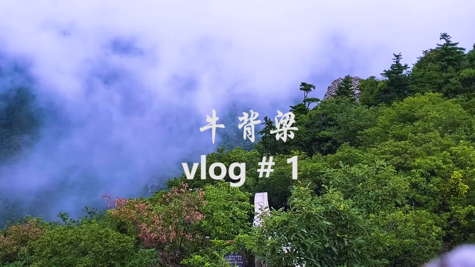 【陕西旅行】牛背梁爬山vlog#1哔哩哔哩bilibili