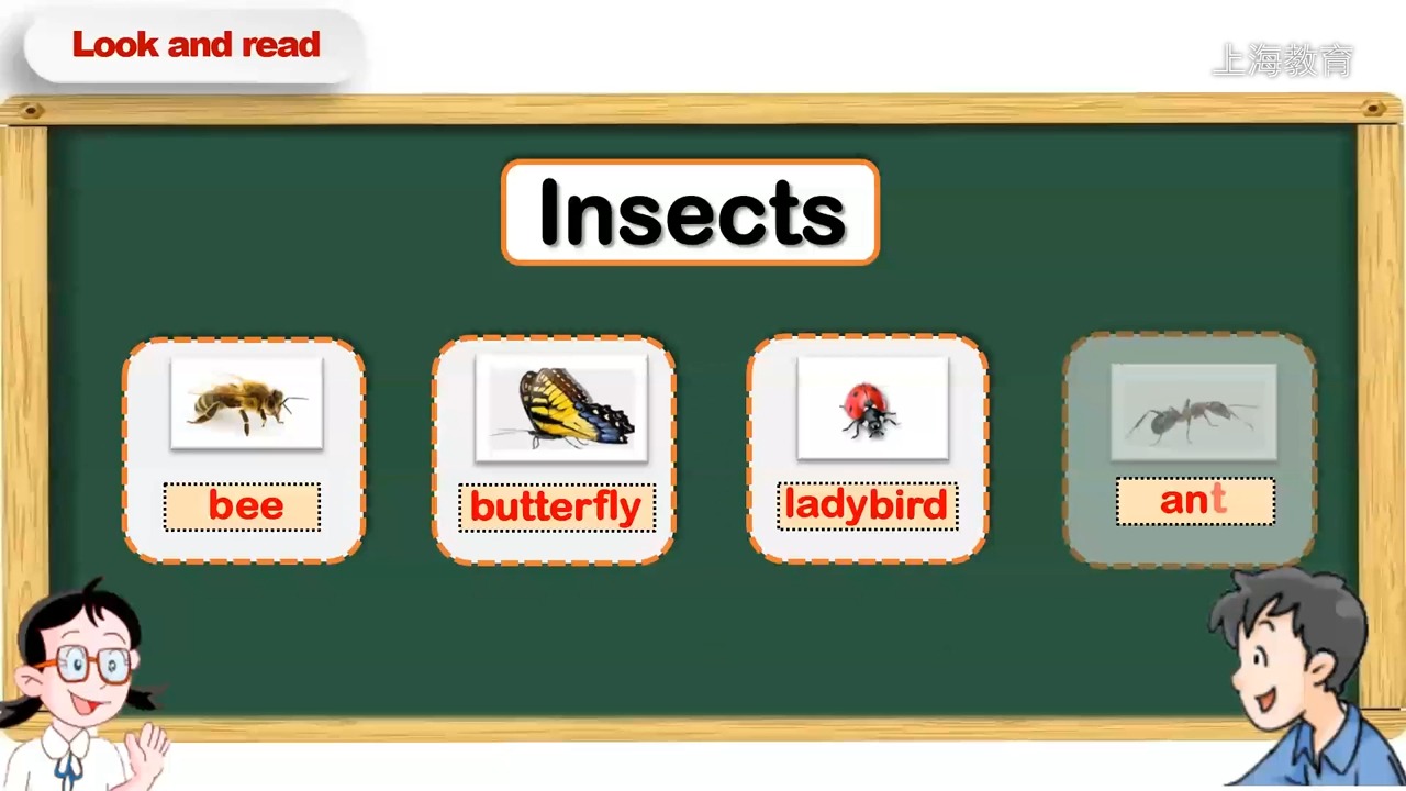 上海/小学三年级/第一学期/英语/module 4 m4u1 insects 1