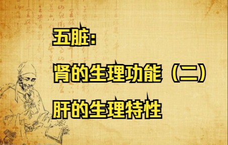 中医基础理论合集【第二十一集】五脏:肾的生理功能(二)、肝的生理特性哔哩哔哩bilibili