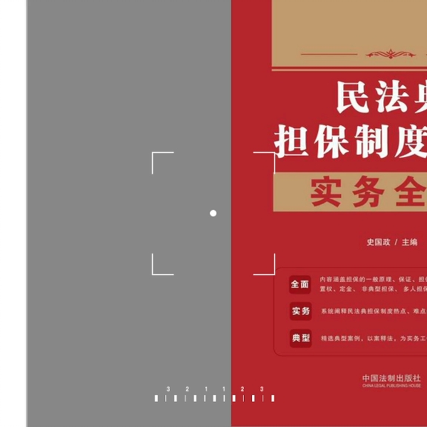 担保法大系第1卷〜第4卷 现货速发2020新书中国动产担保物权法编纂研究董学立著物权法担保
