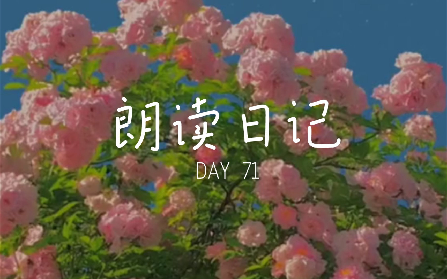 [图]朗读日记 DAY71 《归国谣·红玉》