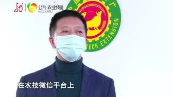 【新农村】防控备耕同步抓科技培训线上忙