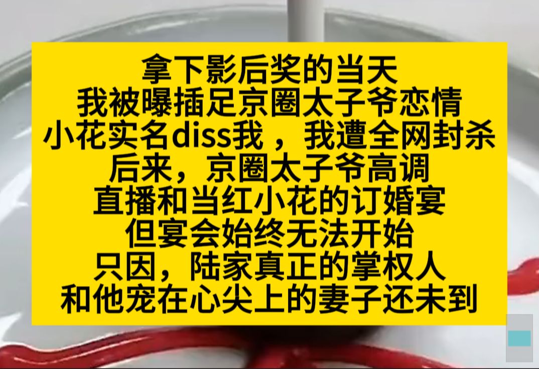 拿下影后当天,我被爆插足太子爷恋情,但我对象其实是他家掌权人,小说推荐哔哩哔哩bilibili