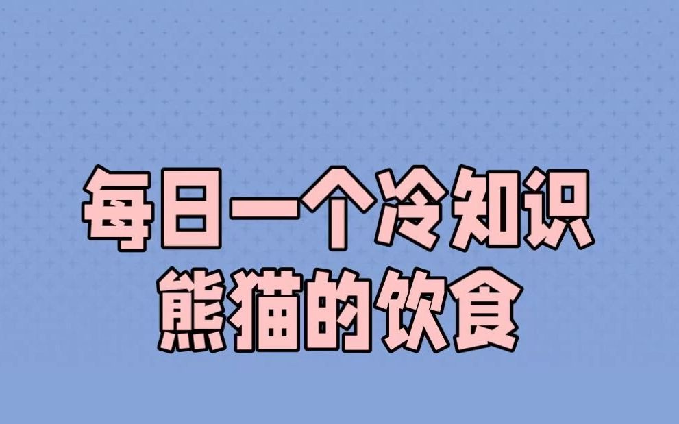 每日一个冷知识熊猫的饮食哔哩哔哩bilibili