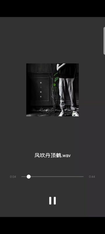 風吹丹頂鶴 #翻唱歌曲 #葛東琪