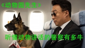 韩国搞笑电影 动物园先生 能和动物配合的警察有多牛 哔哩哔哩 つロ干杯 Bilibili