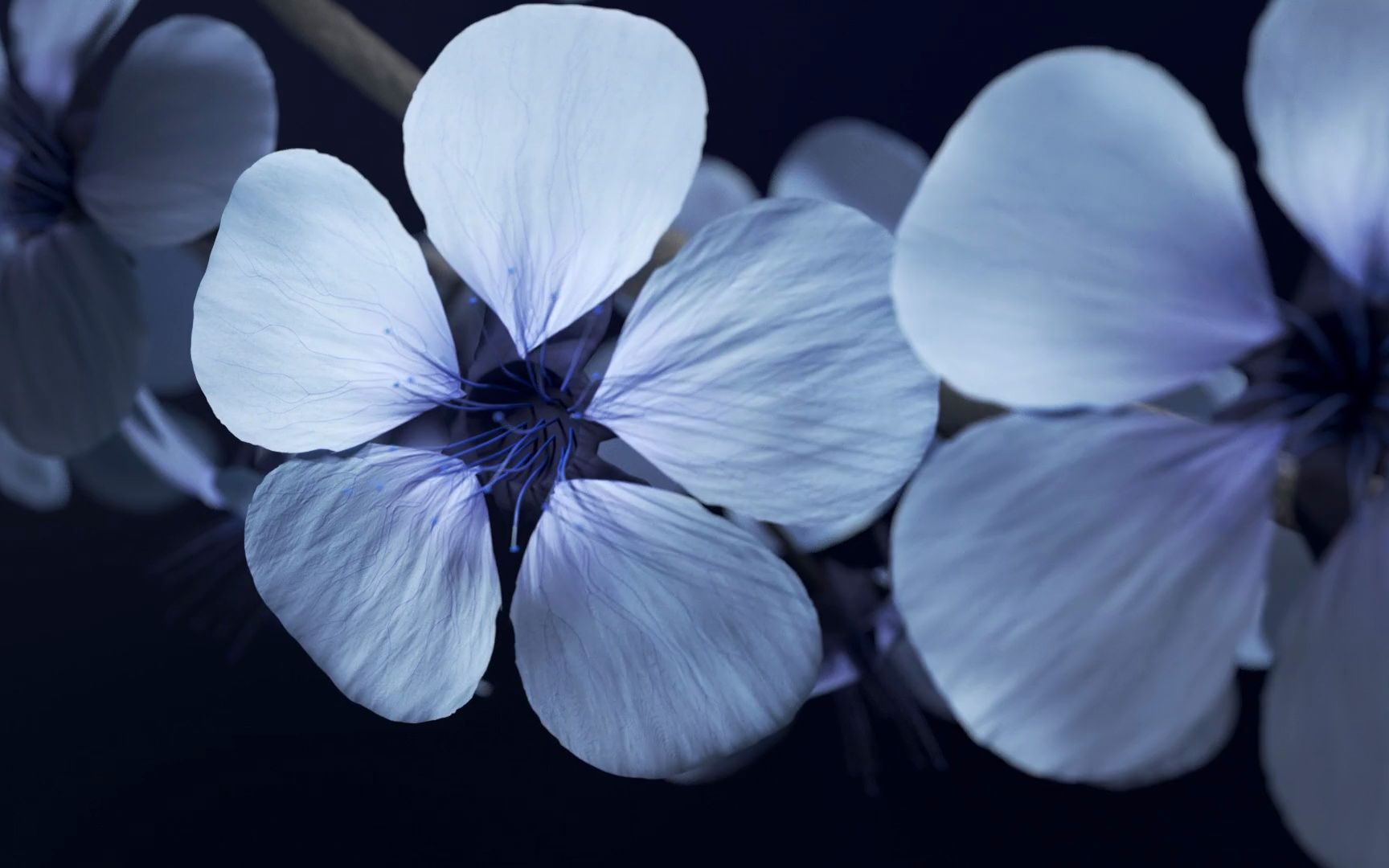 【三维动态】设计师的c4d样片库 bloom