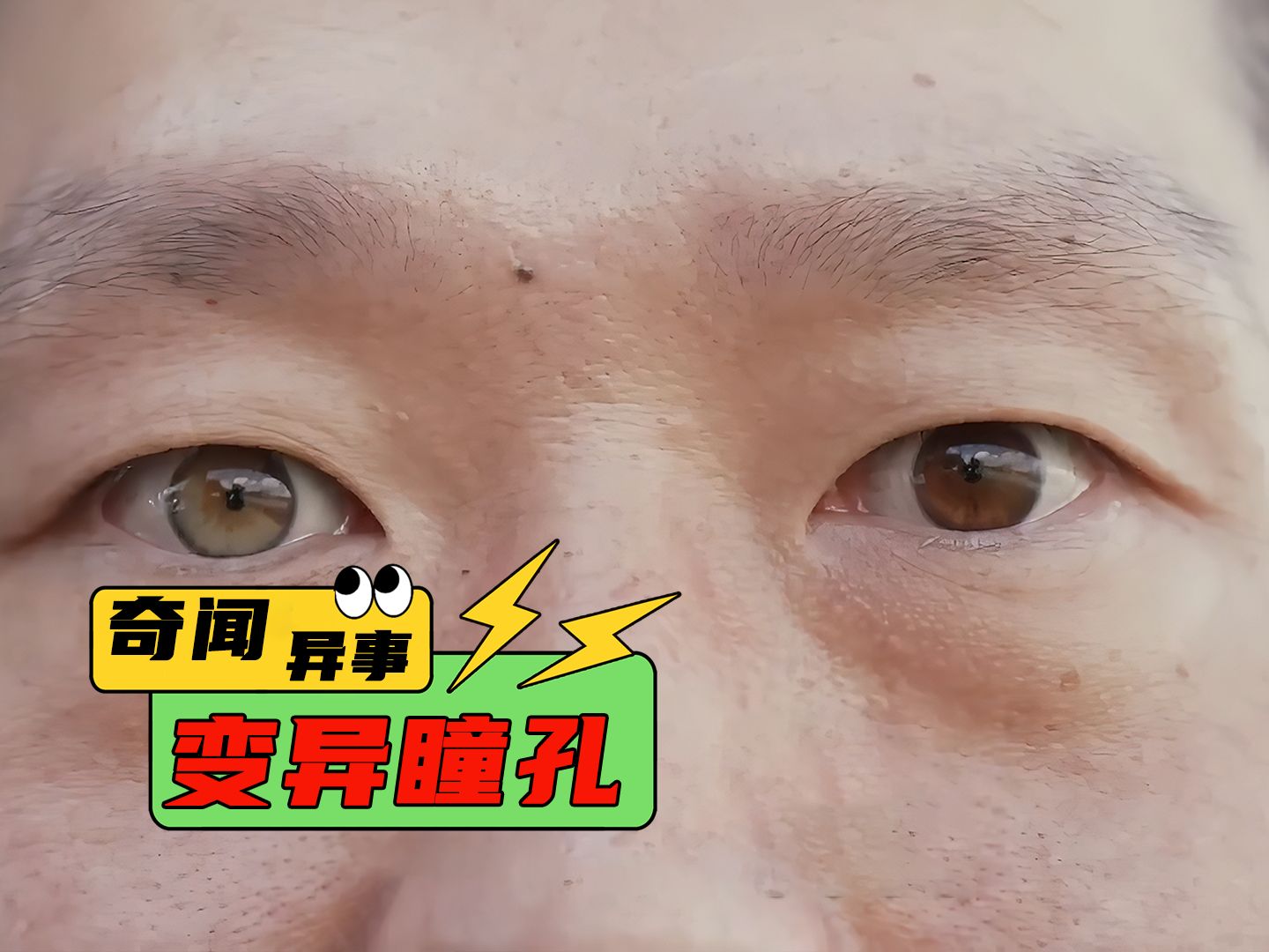 男人的眼睛很奇怪,两个瞳孔的颜色不一样,就好似阴阳眼