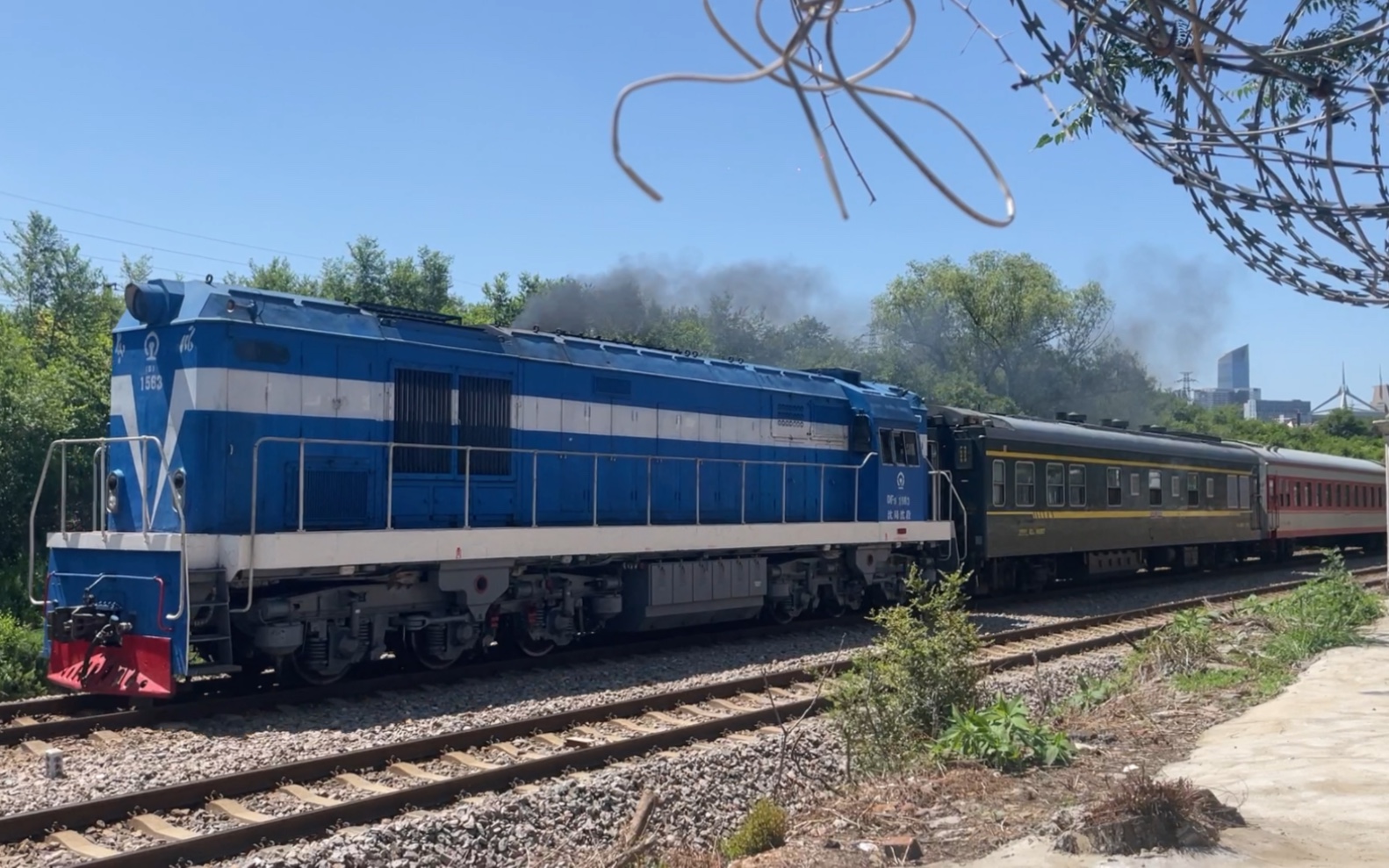 沈局沈段df51563牵引yw25g与yw18型硬卧车编组的漠河-石家庄y京局旅游