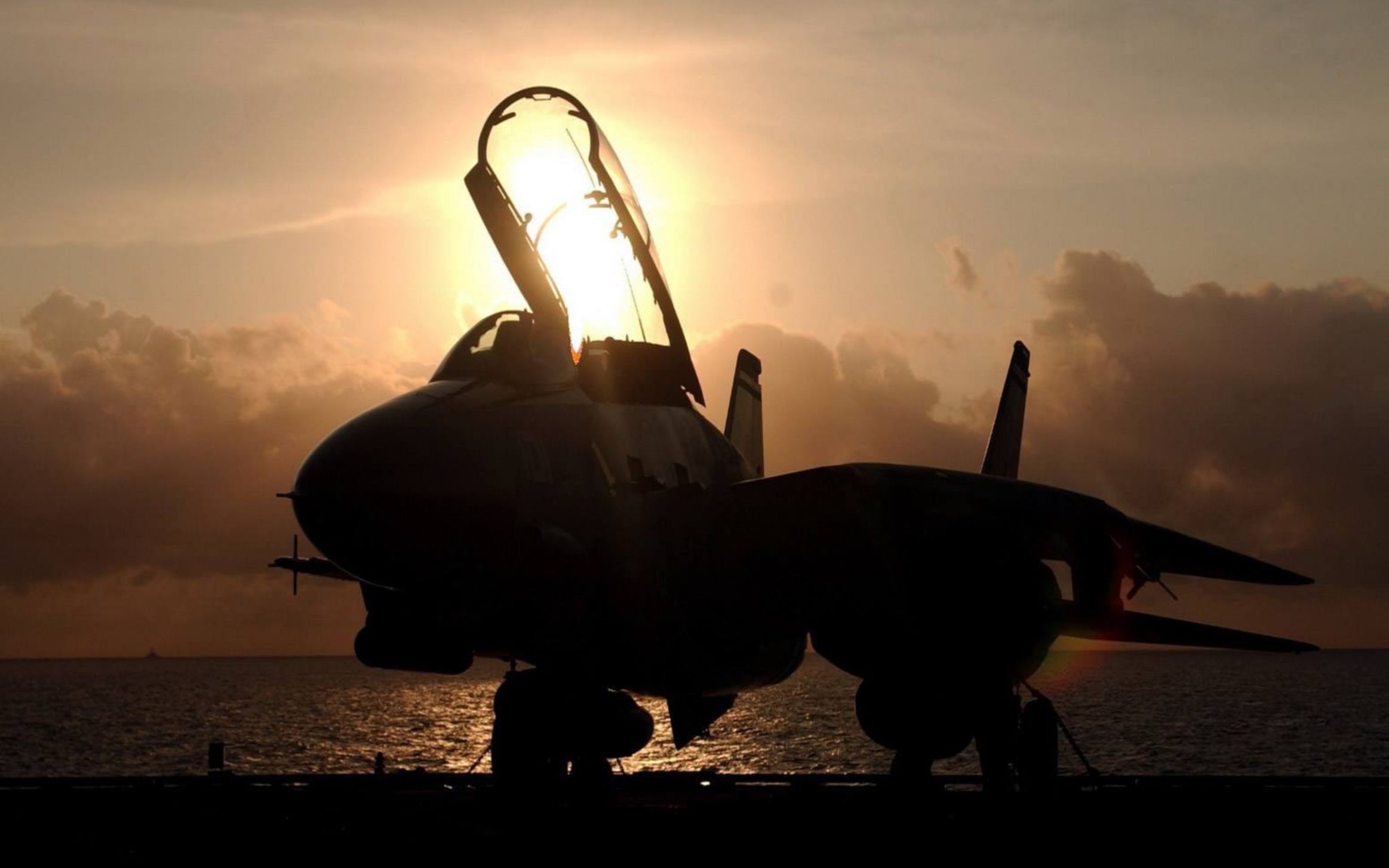 活动作品逆火行f14预告thegreatestshow