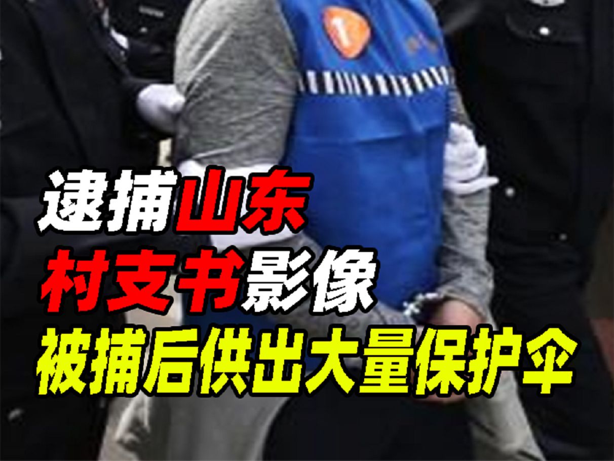 逮捕山东村支书影像,抢占村民上亿资产,被捕后供出大量保护伞哔哩哔哩bilibili