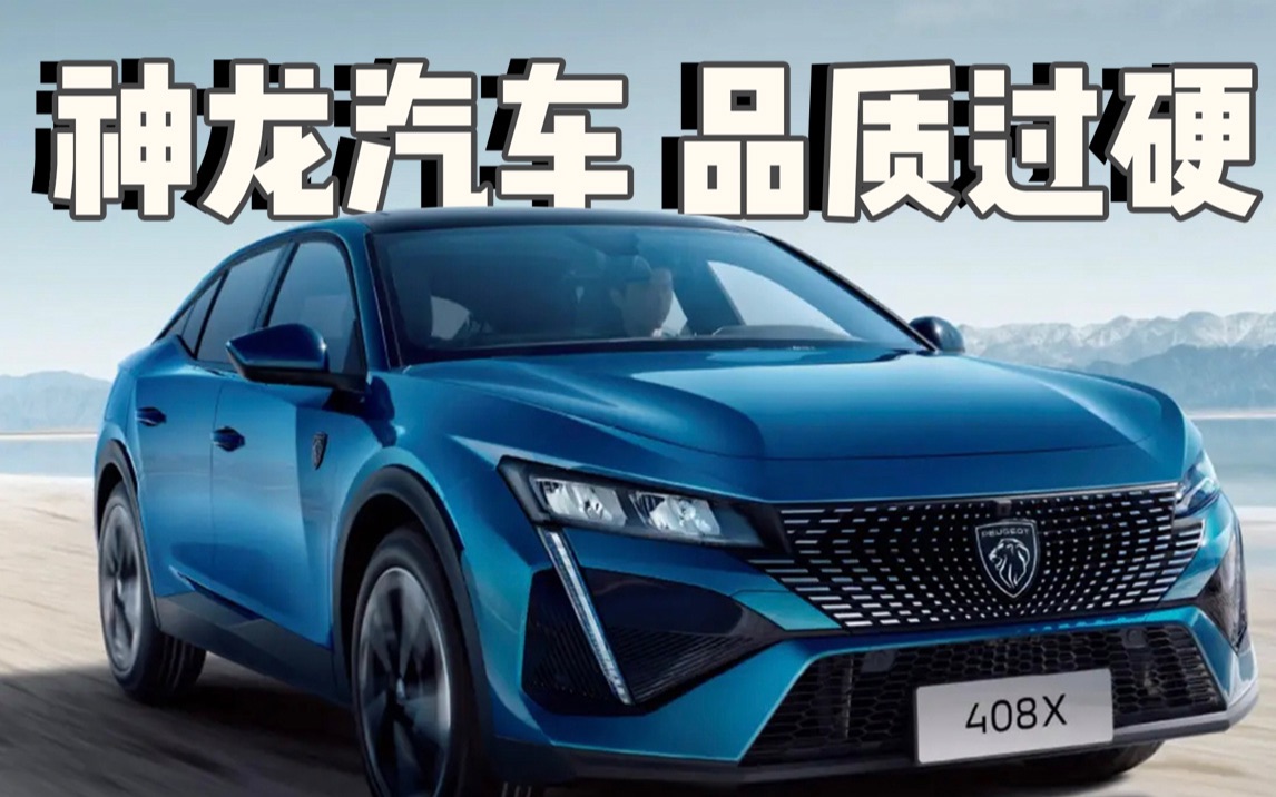 原来神龙汽车也可以"双标"