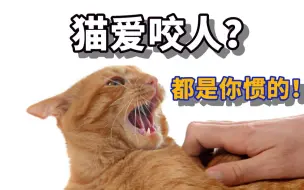 Download Video: 猫咪爱咬人？多半是惯的！手把手教你解决~