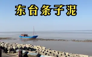 Video herunterladen: 东台条子泥，看过这条视频之后你还想来玩吗？