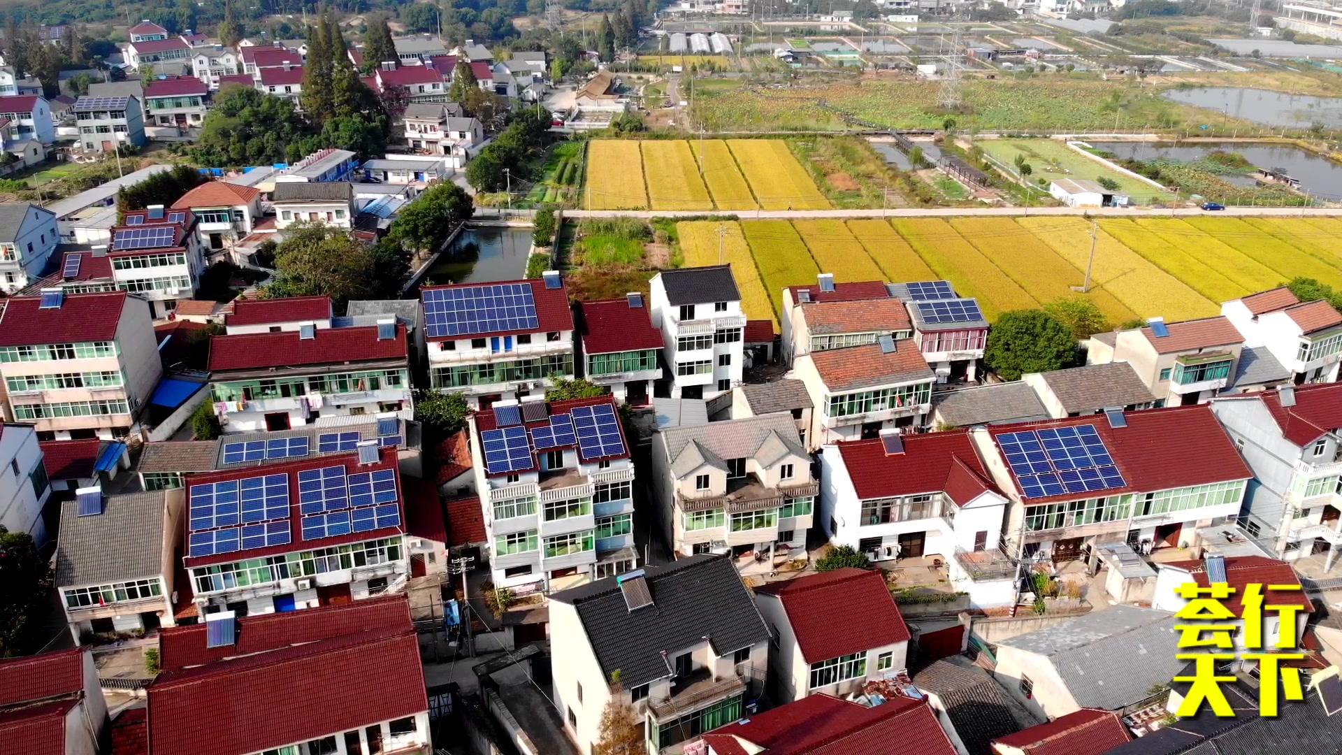 秋天的浙江农村,航拍湖州高铁站附近的小村庄,金色的稻田