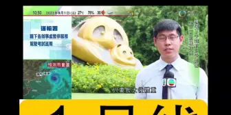 Download Video: 【TVB粤语新闻】大熊猫和花在网络爆红