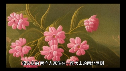 中国古代神话故事之莲花仙子哔哩哔哩bilibili