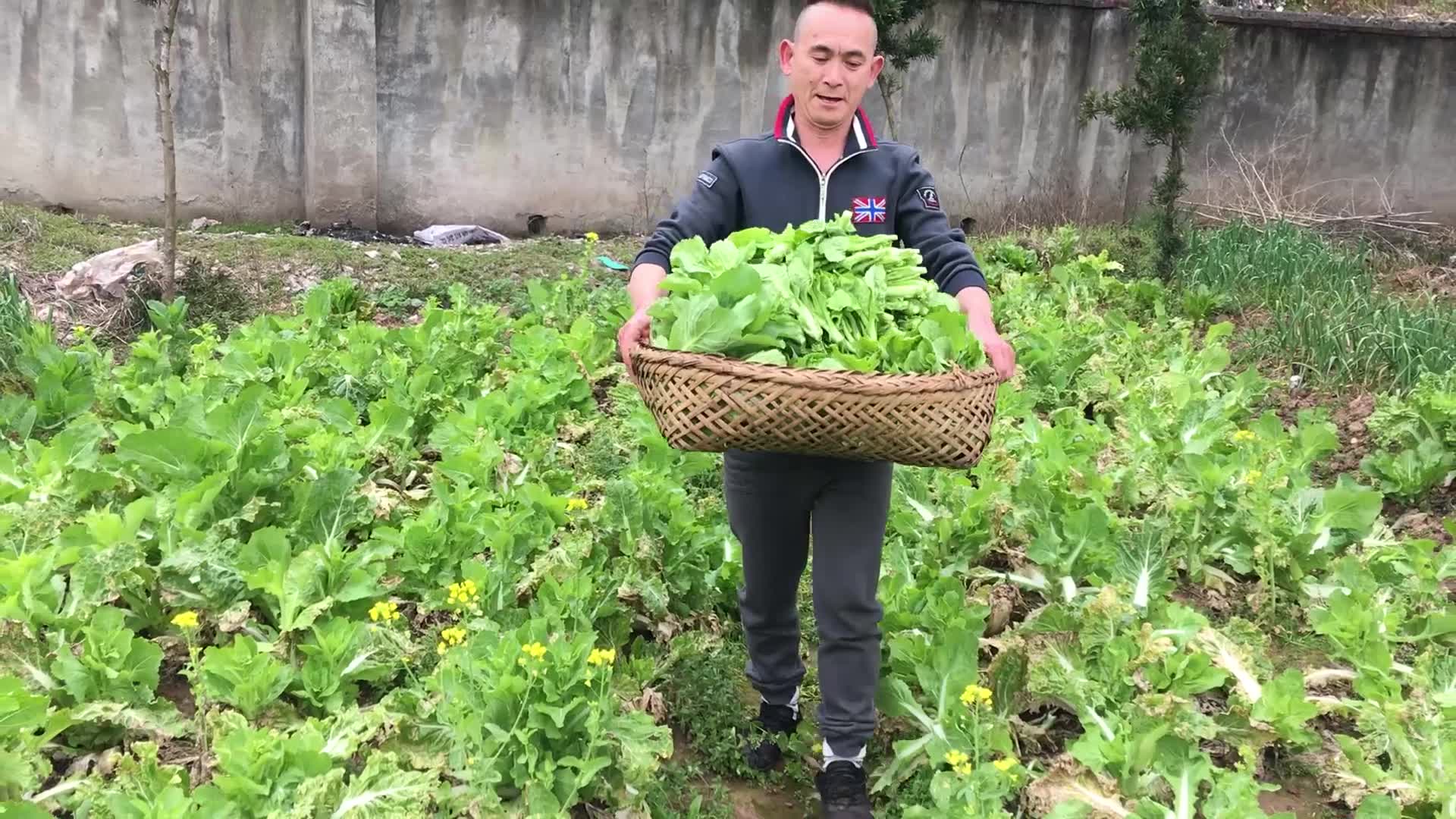 湘西老刘在家制作湖南湘西地道的农村水酸菜,全过程实拍哔哩哔哩bilibili