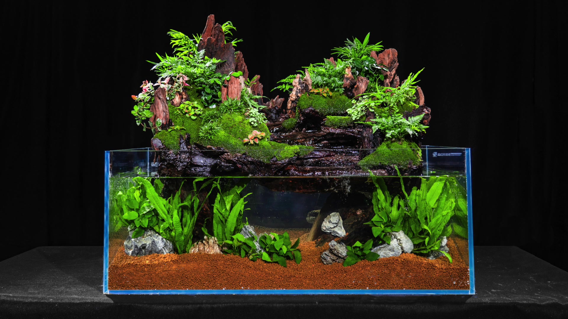 造景—水中花园展示