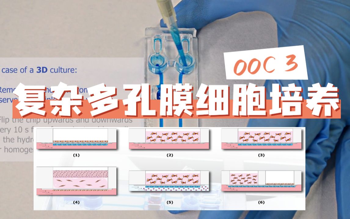 【微流控细胞培养03】复杂多孔膜细胞培养 手把手教学 | BETRANSFLOW芯片使用教程 | 微纳立方科技哔哩哔哩bilibili