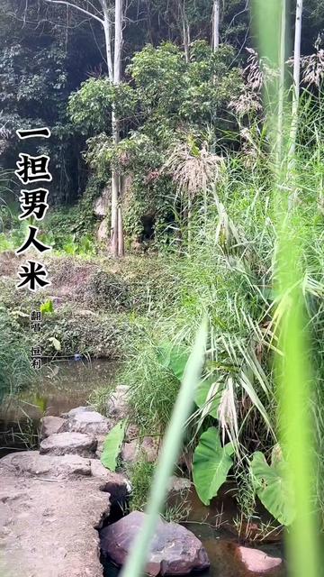 [图]#我要上热门 #三分艰辛七份的汗水（一担男人米）