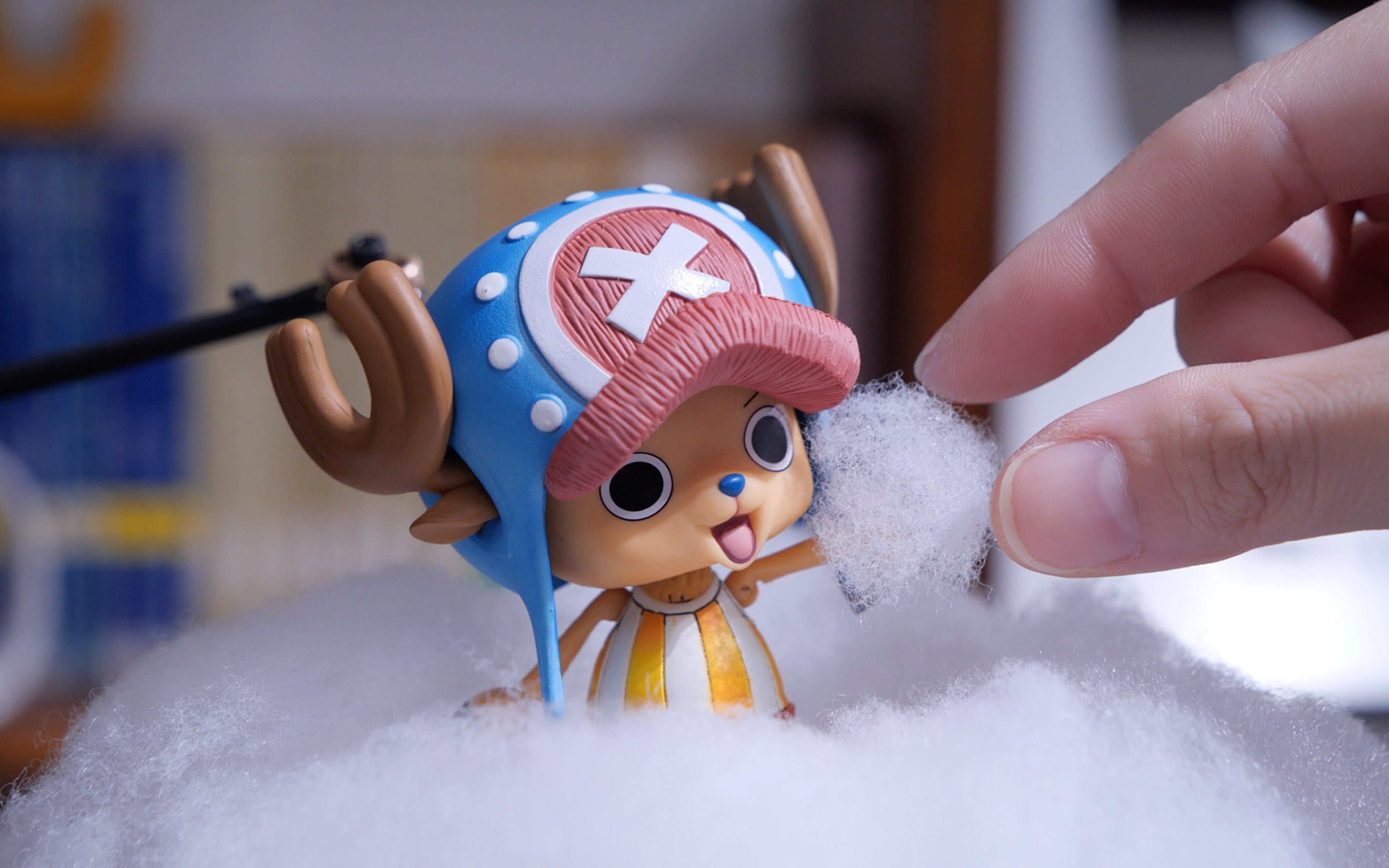 《小小海贼王》幸运棉花糖 下动漫一般去哪些网站