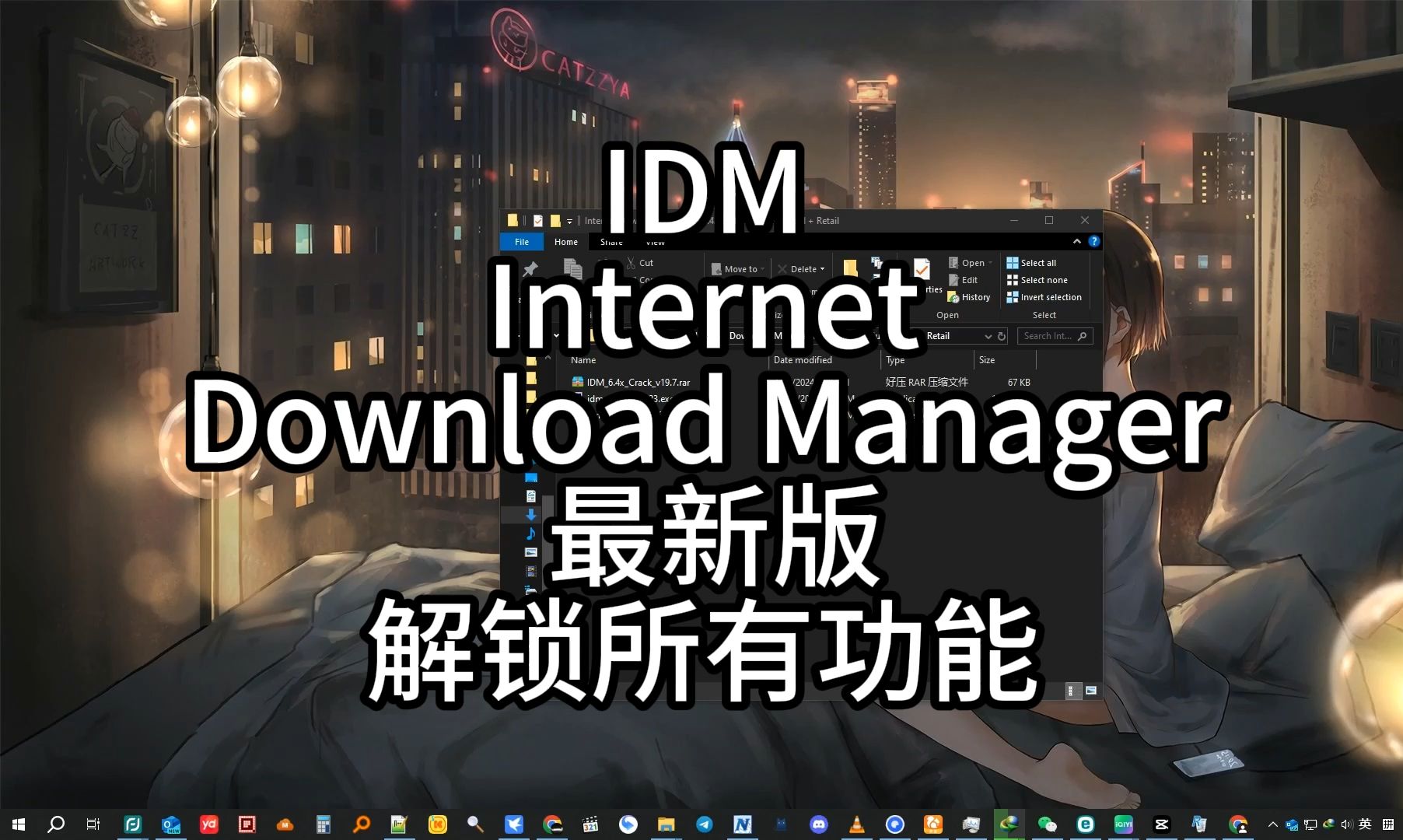 下载神器IDM Internet Download Manager 6.42 永久激活 附安装包下载安装教程哔哩哔哩bilibili