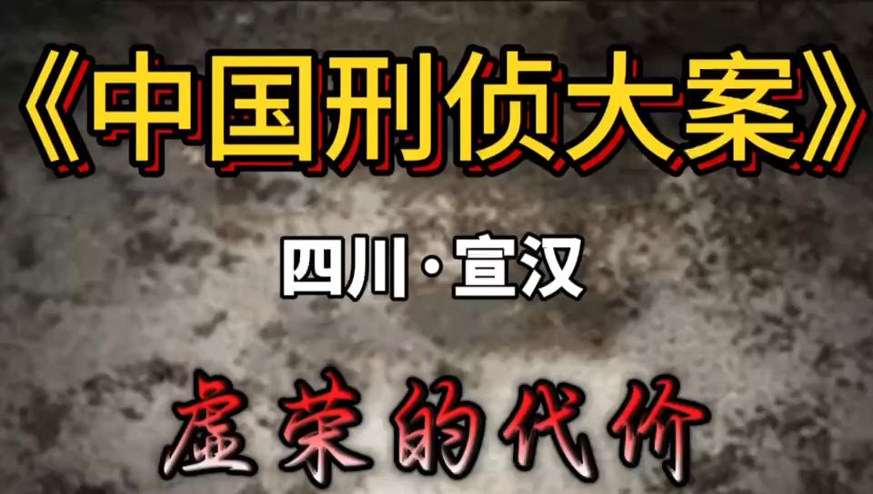 第130集 四川省宣汉县境内发生一起恶性凶杀案哔哩哔哩bilibili