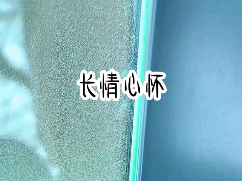 #头~条~极~速~版小说推荐哔哩哔哩bilibili