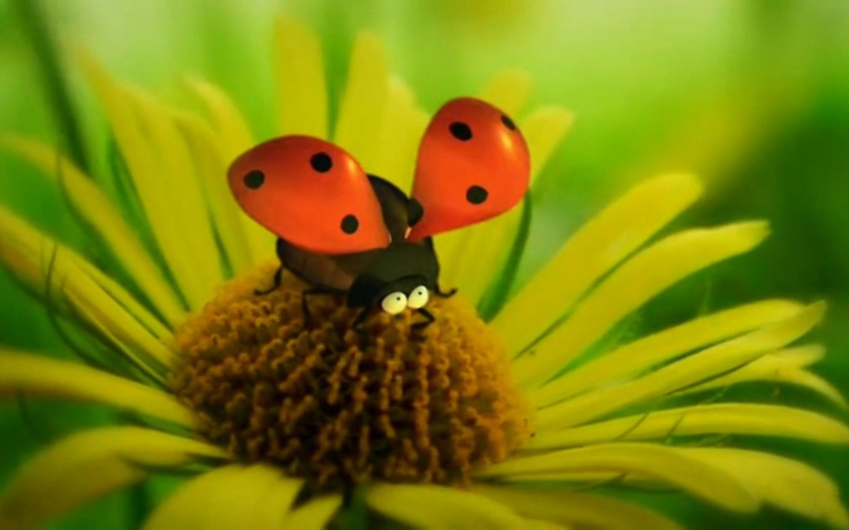 微观小世界第一集:瓢蝇大战