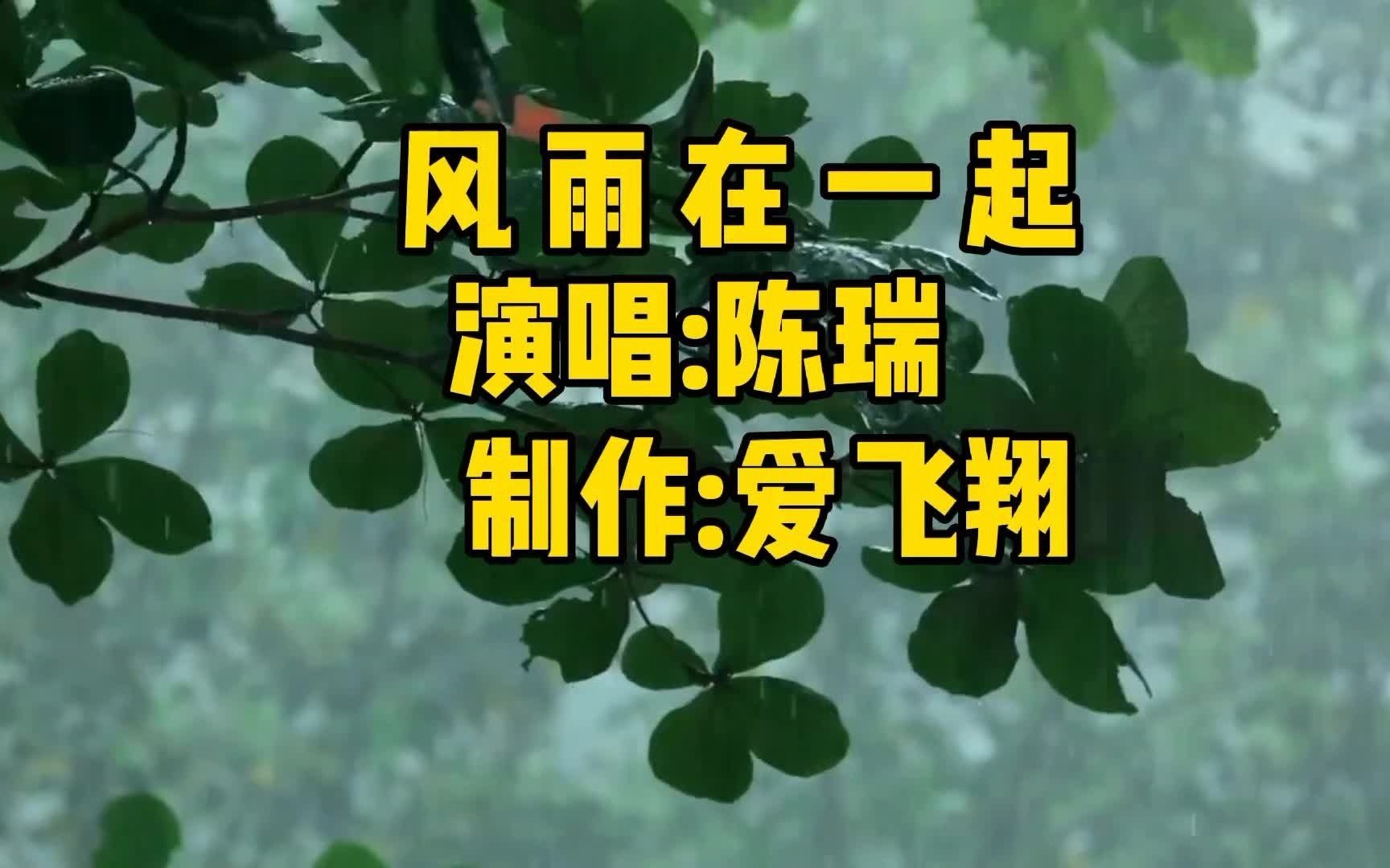 新歌!陈瑞一曲《风雨在一起》风长思雨长忆,寻寻觅觅只为你