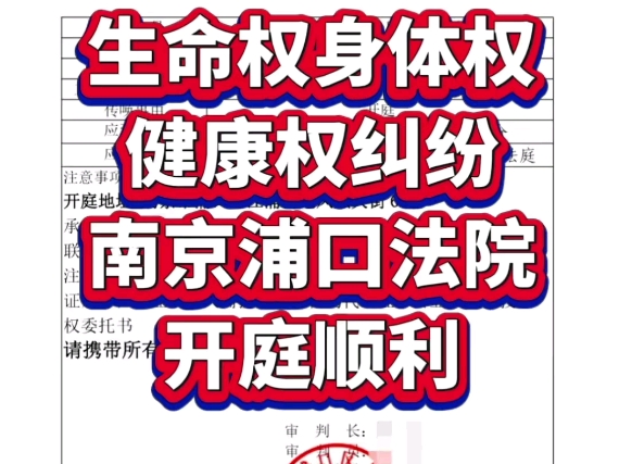 生命权身体权健康权纠纷,今天上午,南京浦口法院开庭顺利.哔哩哔哩bilibili