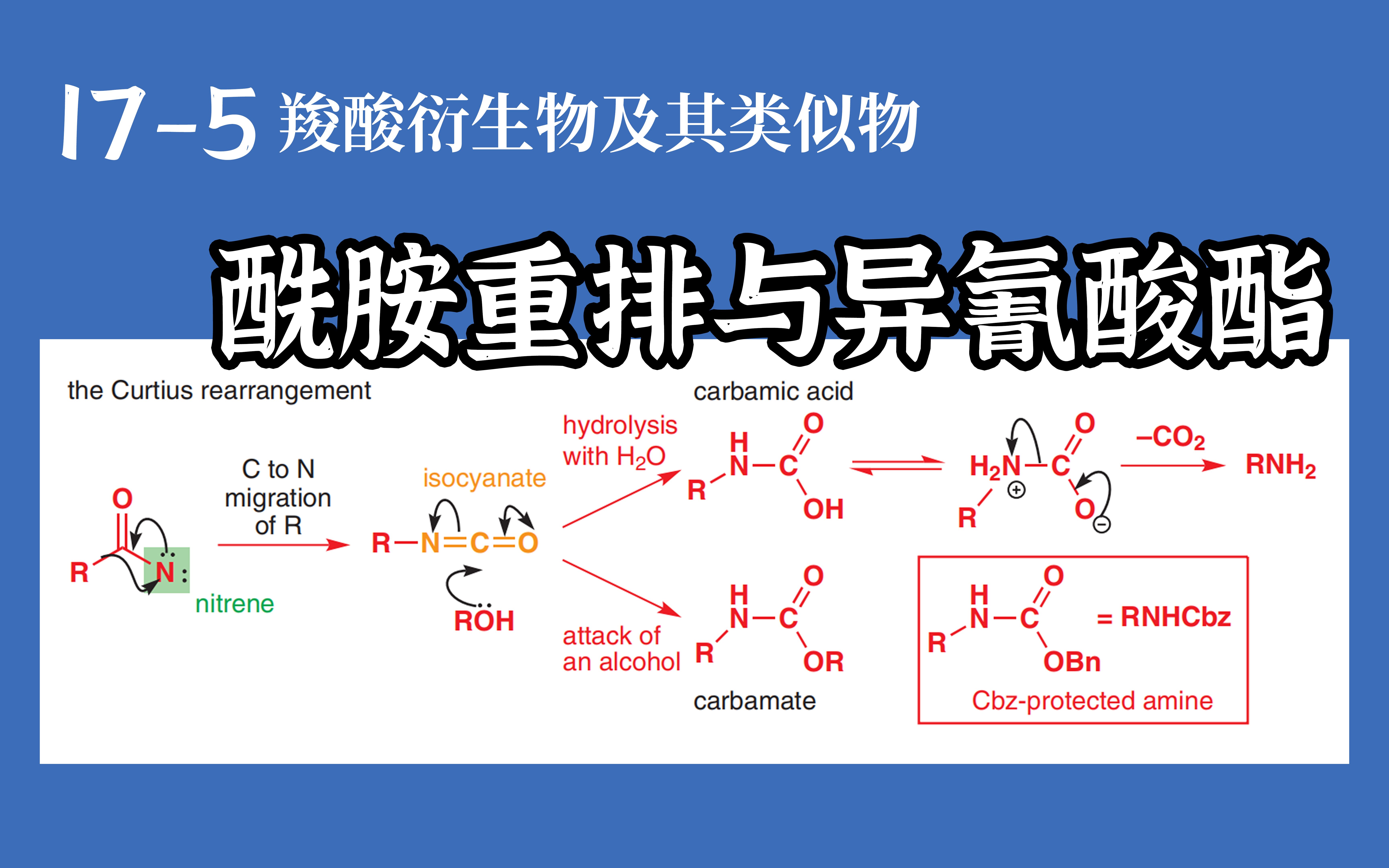 基础有机化学 L175 酰胺重排与异氰酸酯哔哩哔哩bilibili