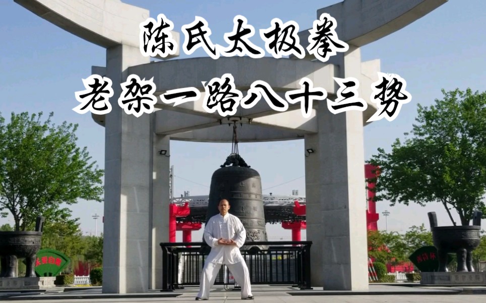 陈氏太极拳老架一路八十三势完整演示下
