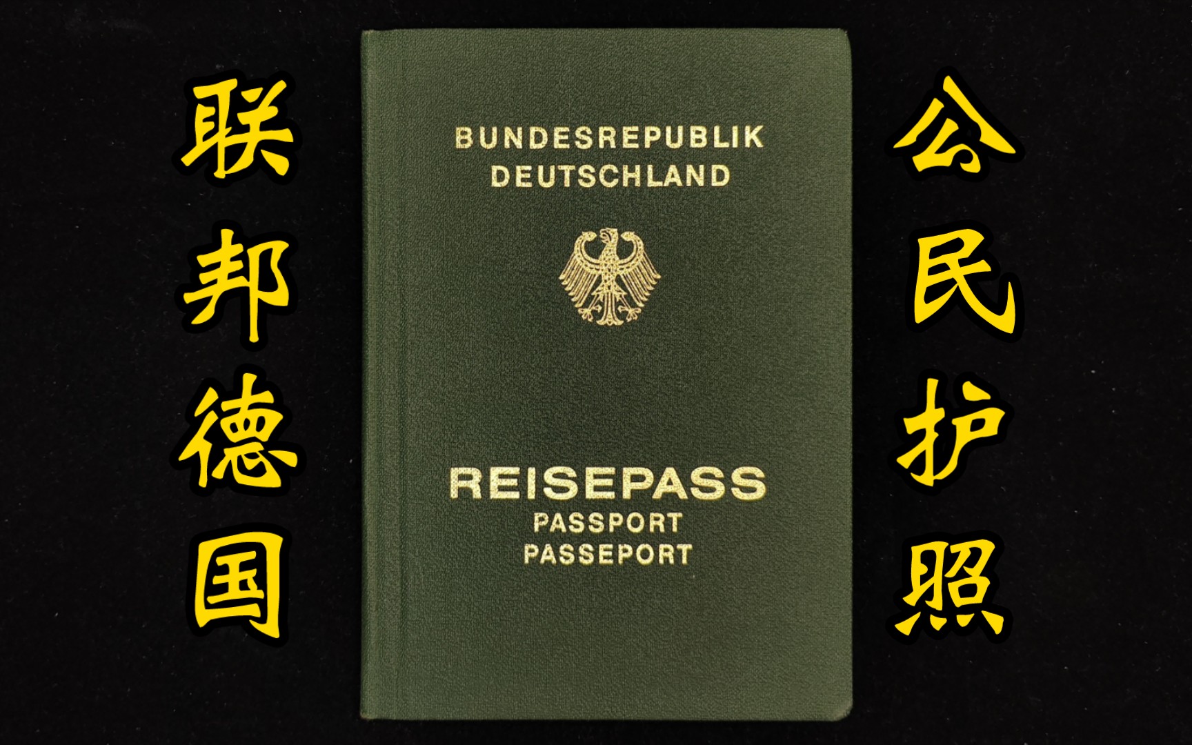 签发于1991年统一的联邦德国护照,护照主人为前东德城市莱比锡人