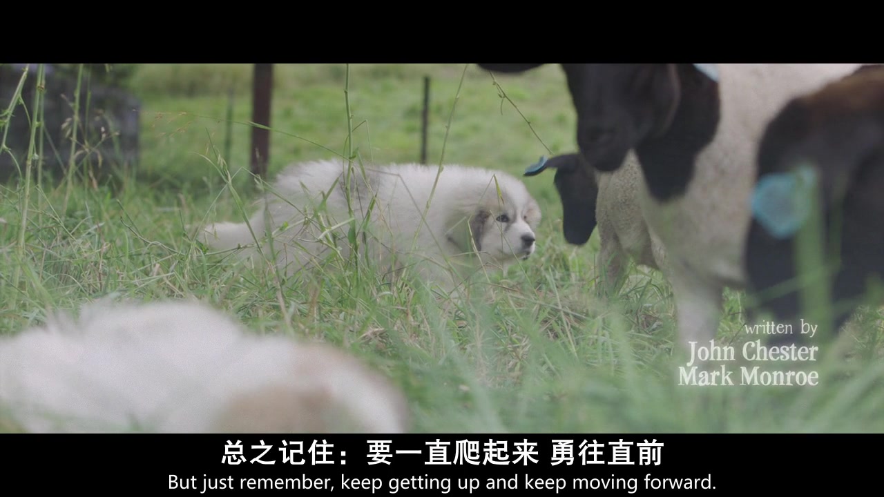 [图]最大的小小农场.The.Biggest.Little.Farm.2018.BD720P.X264.AAC.English.CHS-ENG.Mp4Ba