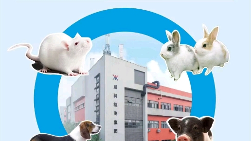 祝贺威科检测集团大动物实验室项目顺利落地!