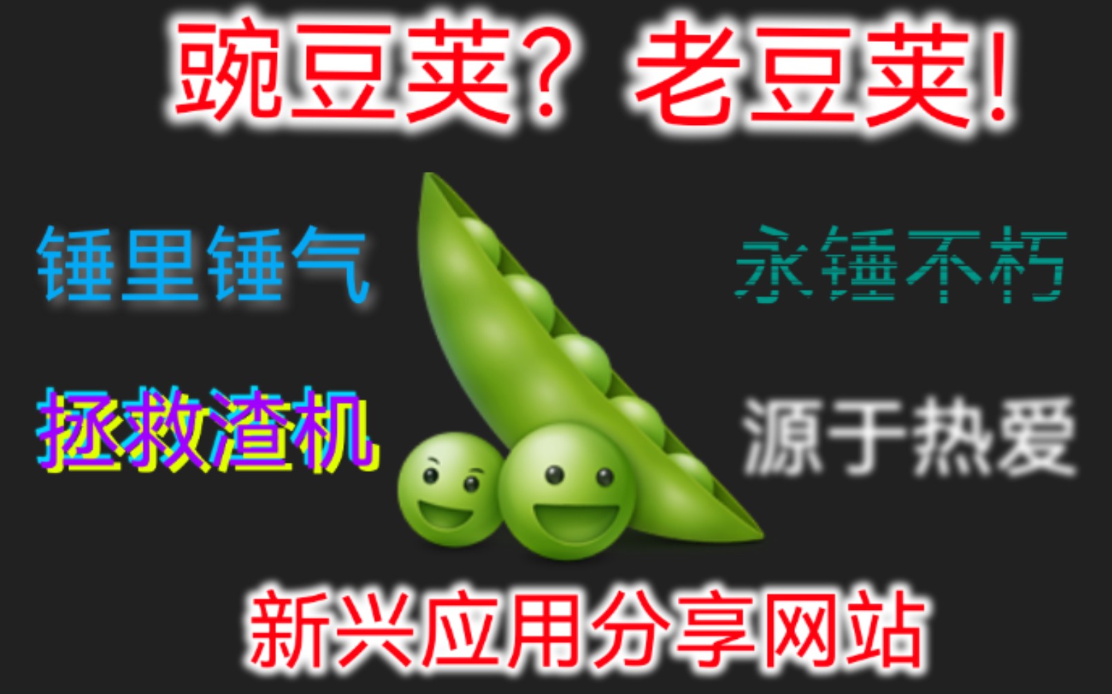 【国庆特辑】老豆荚应用空间2023秋季发布会-K老于-K老于-哔哩哔哩视频