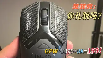 199的GPW国产鼠，英菲克IN10到底香不香？一条视频告诉你答案！