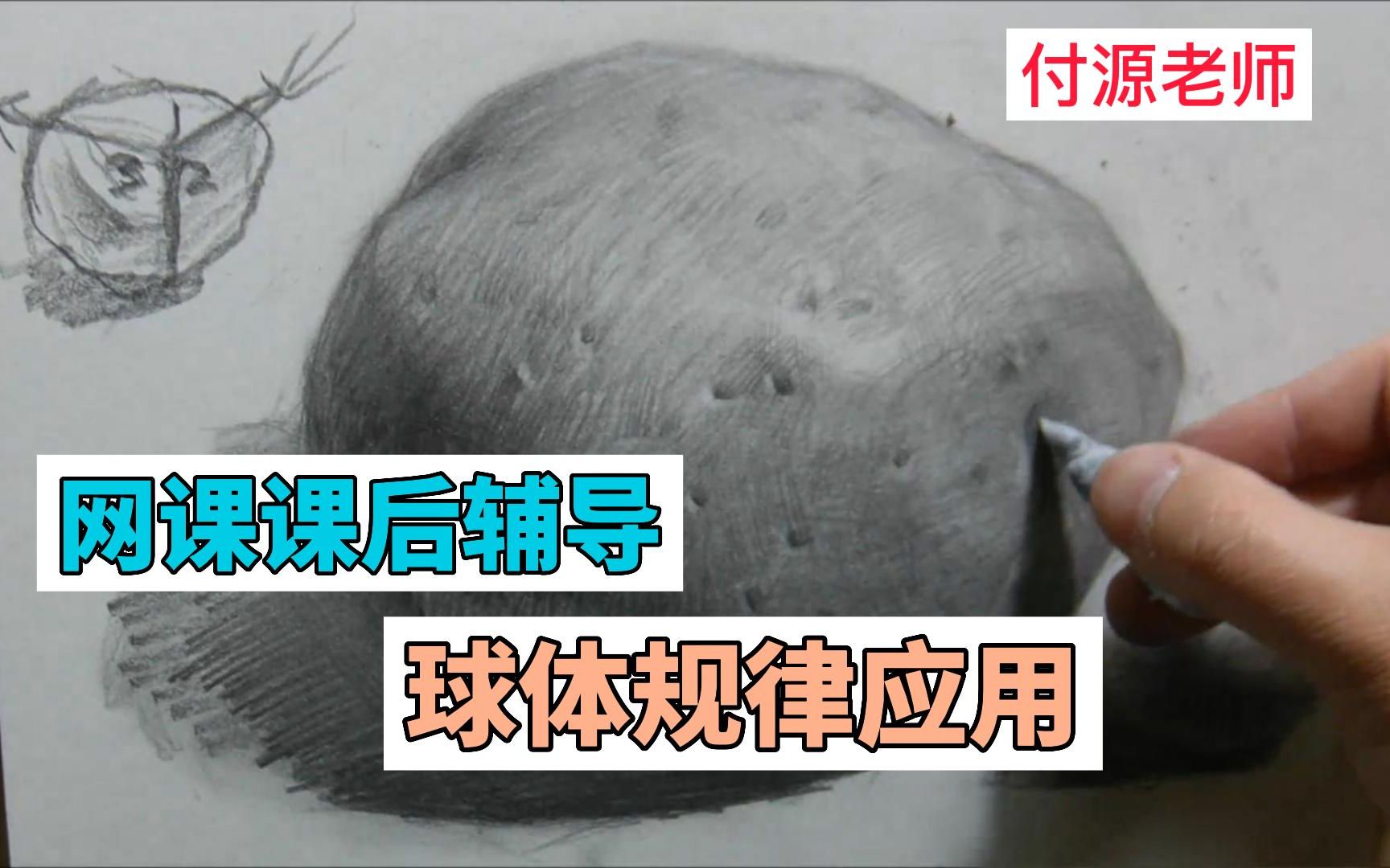 【网课 课后辅导】土豆的画法哔哩哔哩bilibili