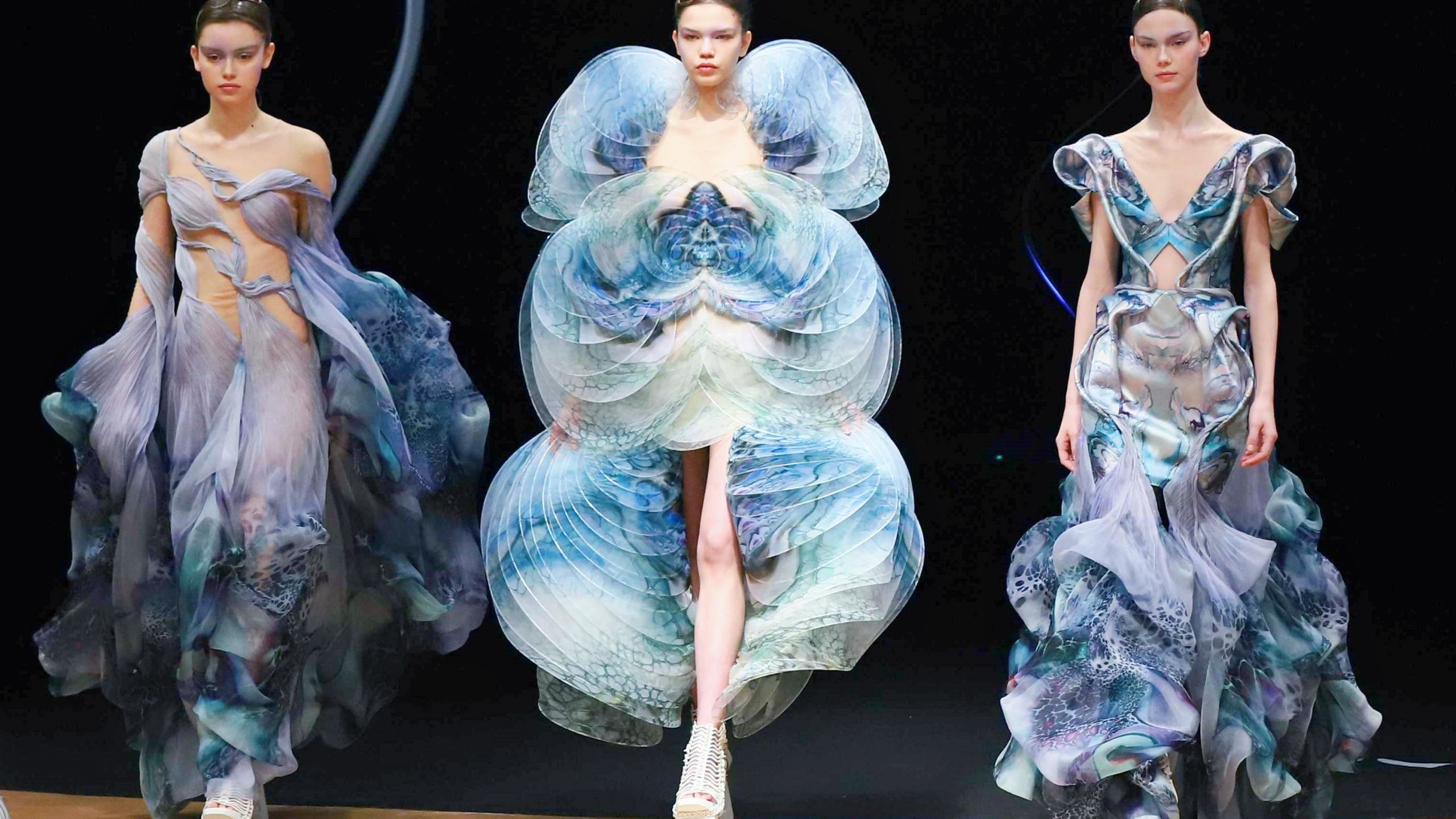 seas感官海洋世界