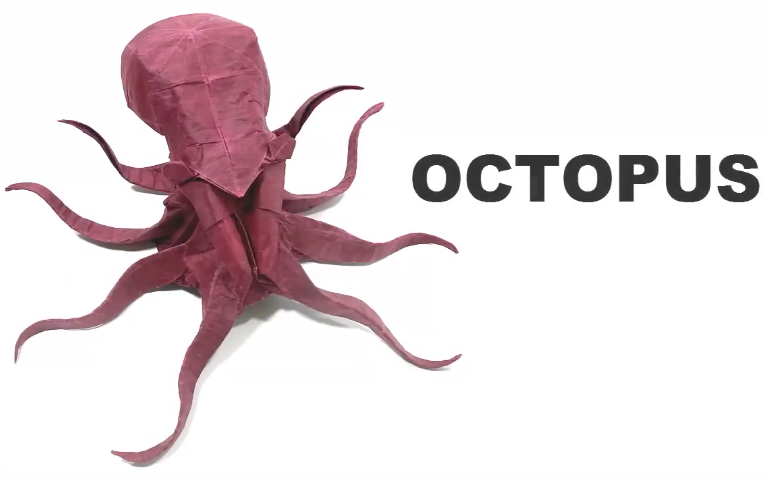 [图]【折纸教程】超级逼真好看的章鱼教程--Origami Octopus tutorial