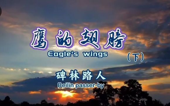 【配音秀】美文鹰的翅膀.下哔哩哔哩bilibili