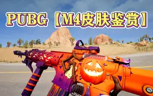 Download Video: PUBG【20款M4皮肤鉴赏】【绝地求生吃鸡】