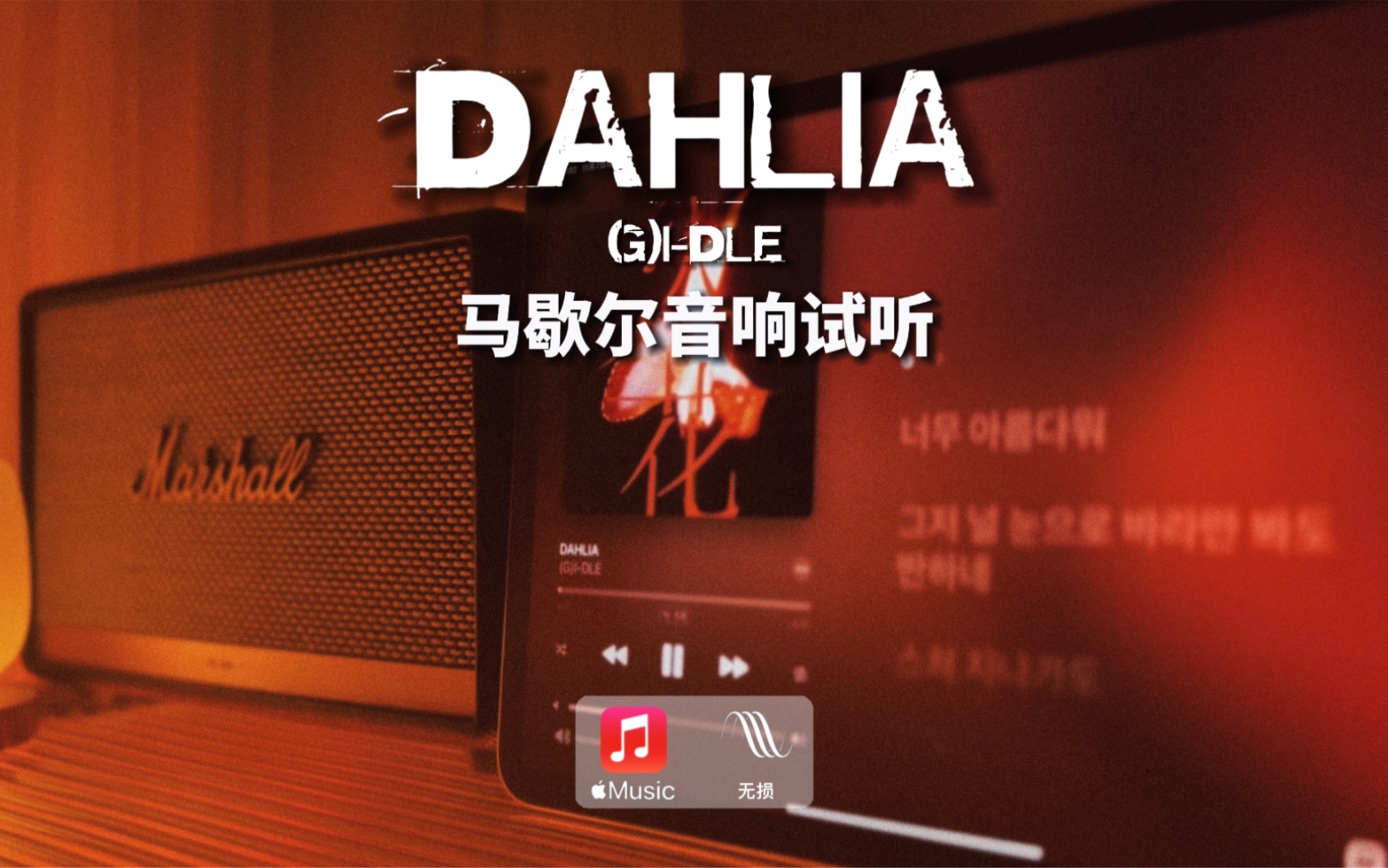 [图]马歇尔音响试听｜DAHLIA（大丽花）- (G)I-DLE