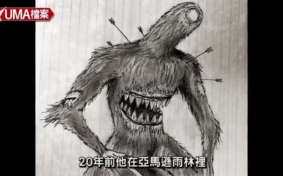 [图]【UMA檔案】馬平瓜里-隱身在亞馬遜雨林中的滅絕生物_!